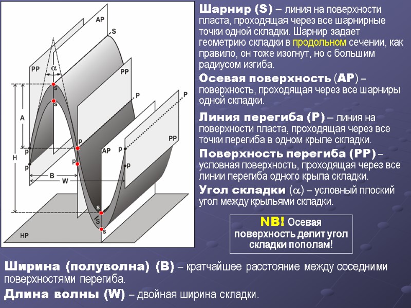 Шарнир (S) – линия на поверхности пласта, проходящая через все шарнирные точки одной складки.